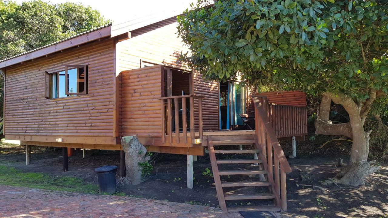 Pirates Creek Self-Catering Chalets Wildernis Exterior foto